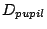 $D_{pupil}$